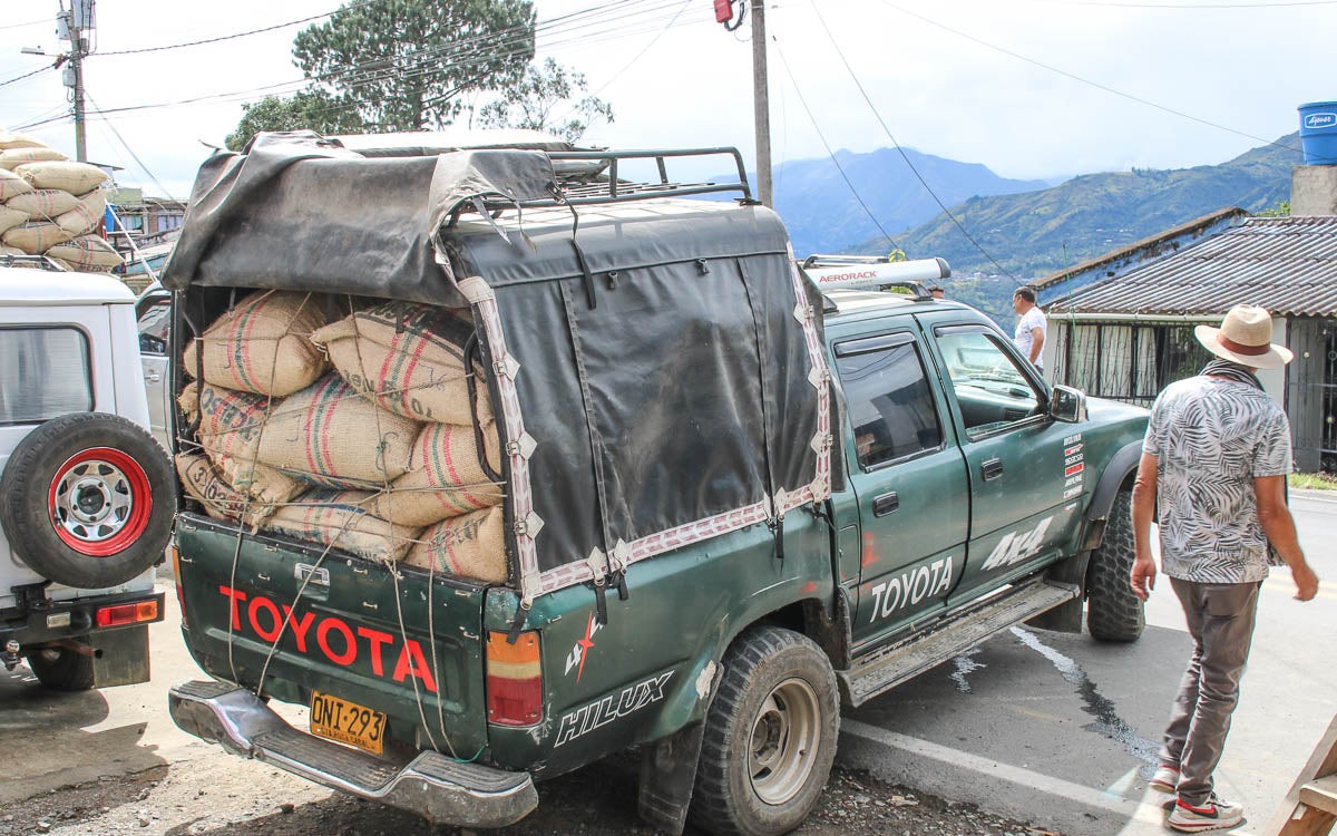 Pickup truck loaded with bags of dried parchment coffee in Buesaco during harvest