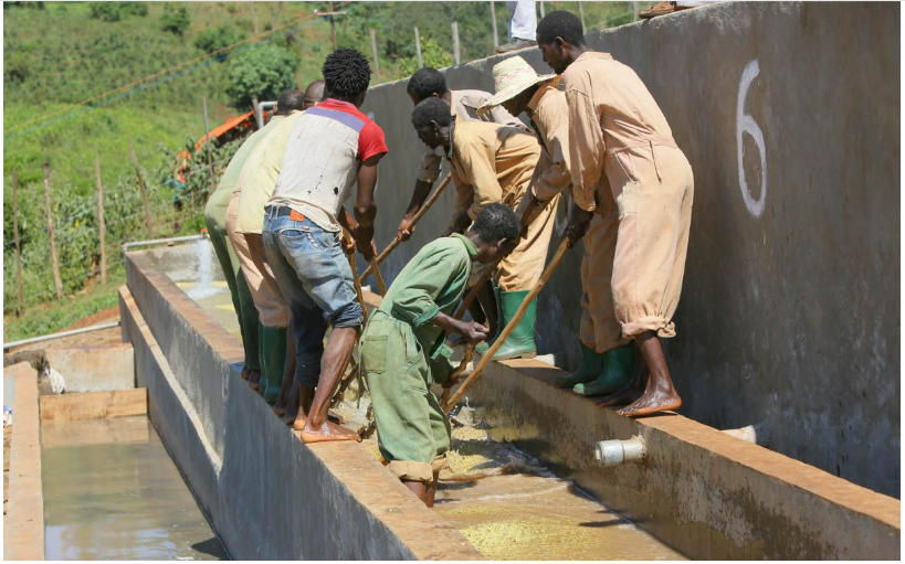 Ethiopia Uraga Gogogu